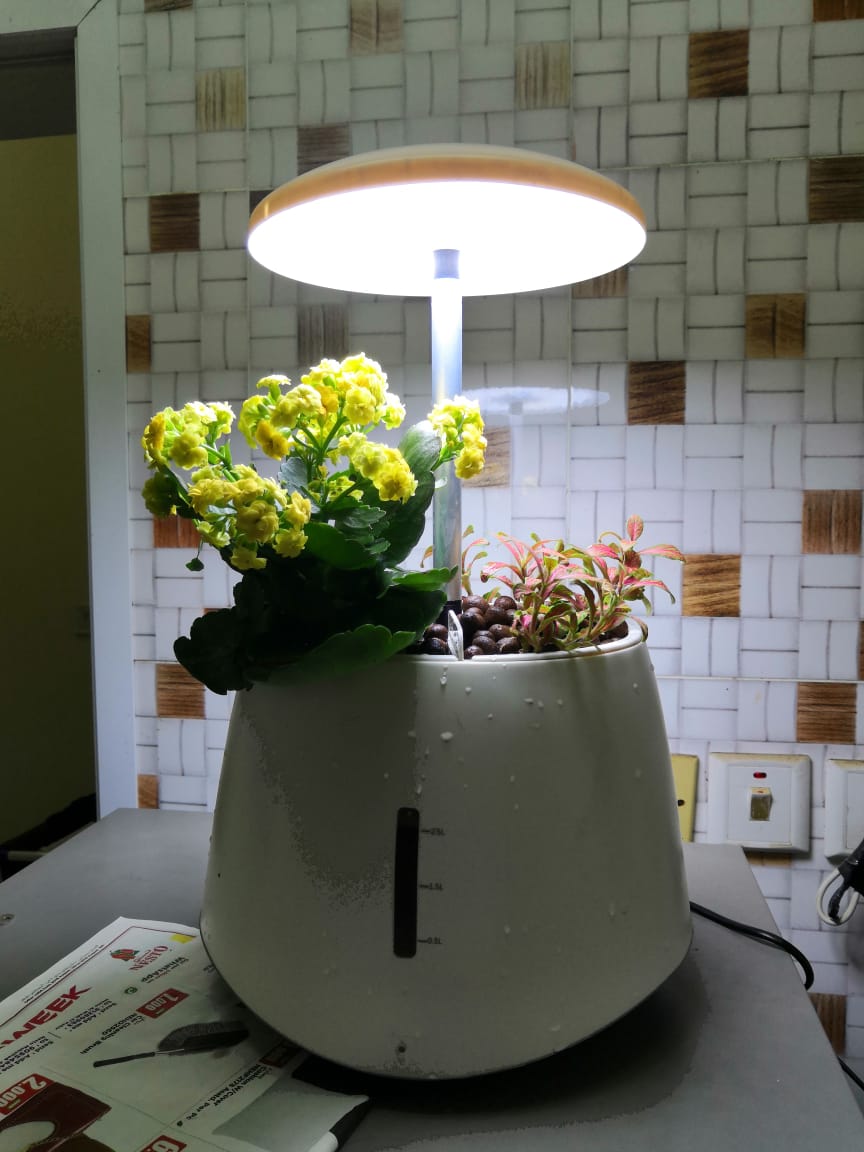 Hydroponics Smart Planter Small Indoor Automatic Planting System (Green