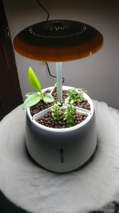 Smart planter-Green pet