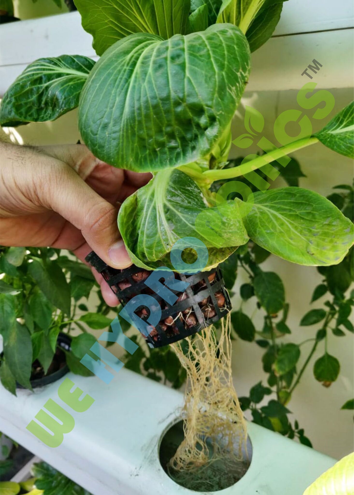 28 Planter Hydroponics NFT / DFT system - Easy and ready to install