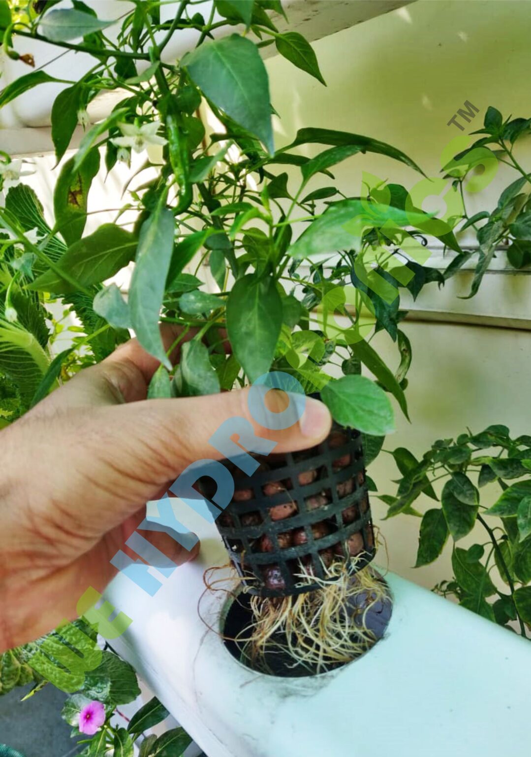 28 Planter Hydroponics NFT / DFT system - Easy and ready to install