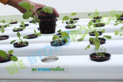 42 planter Hydroponics system