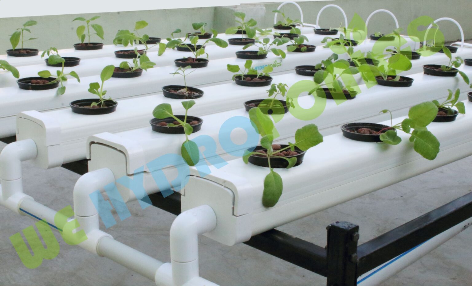 42 Planter Hydroponics (NFT/DFT) system - Home Hydroponics kit - WE