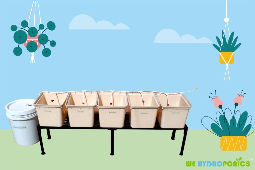 5 Dutch Buckets System Vines Hydroponics Kit with Complete