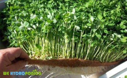 microgreen coco grow mat