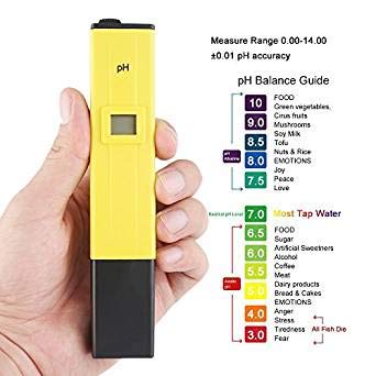 Hydroponics pH meter