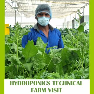 hydroponics technical farm visit