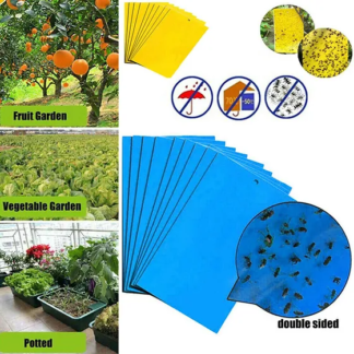 pest management sticky traps - Yellow-blue combo