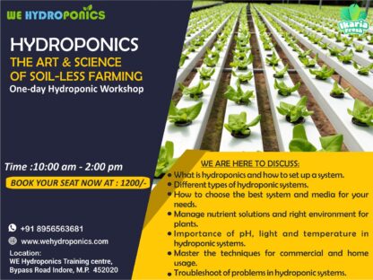 One day hydroponics training