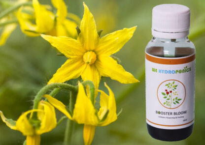 booster bloom 50ml a