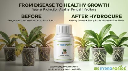Hydrocure Solution- To Cure Fungal Infections - WE Hydroponics