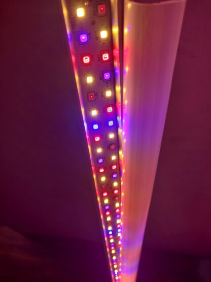 Fruit spectrum lights