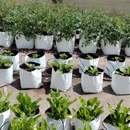 Plant-Grow-Bags-LDPE