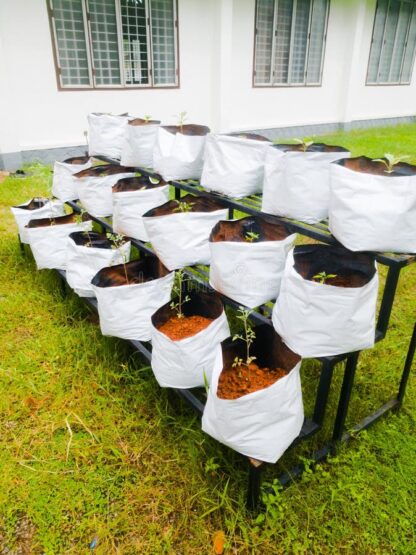 Plant-Grow-Bags-LDPE
