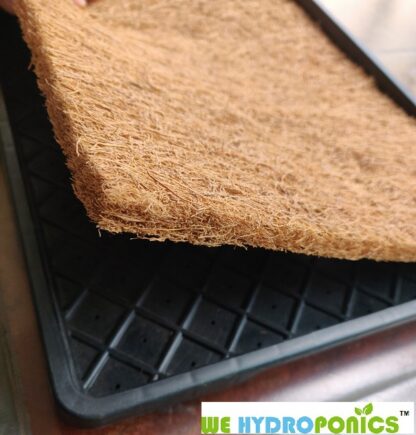 Tray and coco mat combo