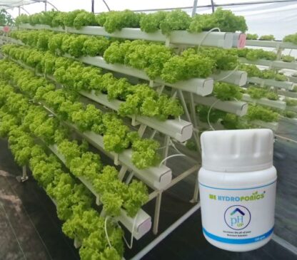 pH up - Farm