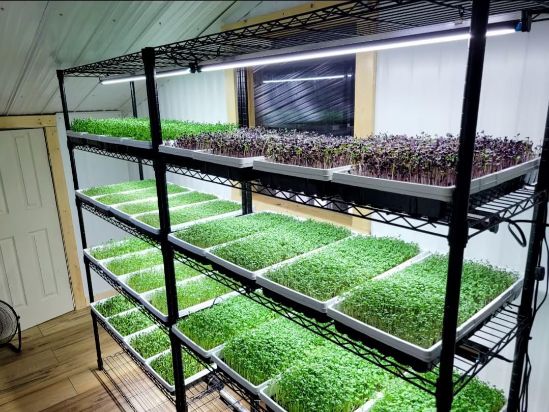 Stand - Storage rack modular