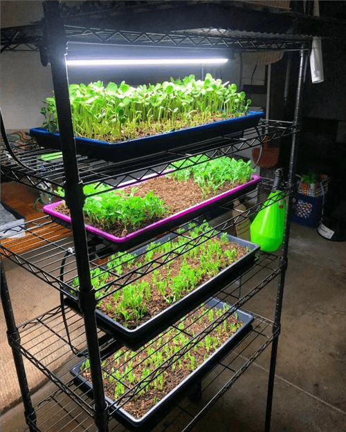 Stand - Storage rack modular