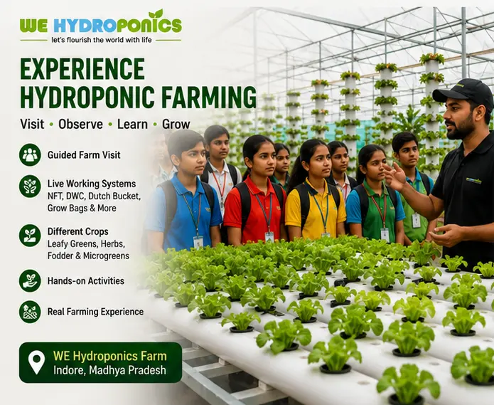 Students visiting a commercial hydroponic farm for CBSE Kaushal Bodh